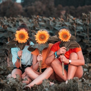 Kolme ihmistä istuu auringonkukkapellon laidalla ja pitää auringonkukkia kasvojen edessä.